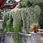 شقة Barony Romantic-residence