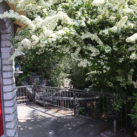 Barony Romantic-residence * Λουγκάνο